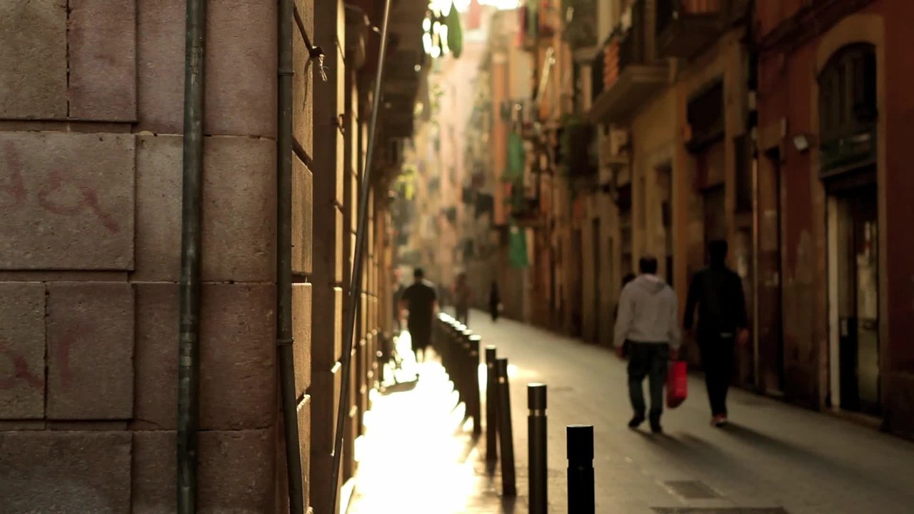 Ein Papagei im Eiscafe - Trailer (Deutsch) HD