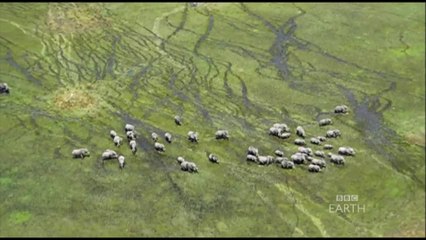 Planet Erde - Trailer (English)