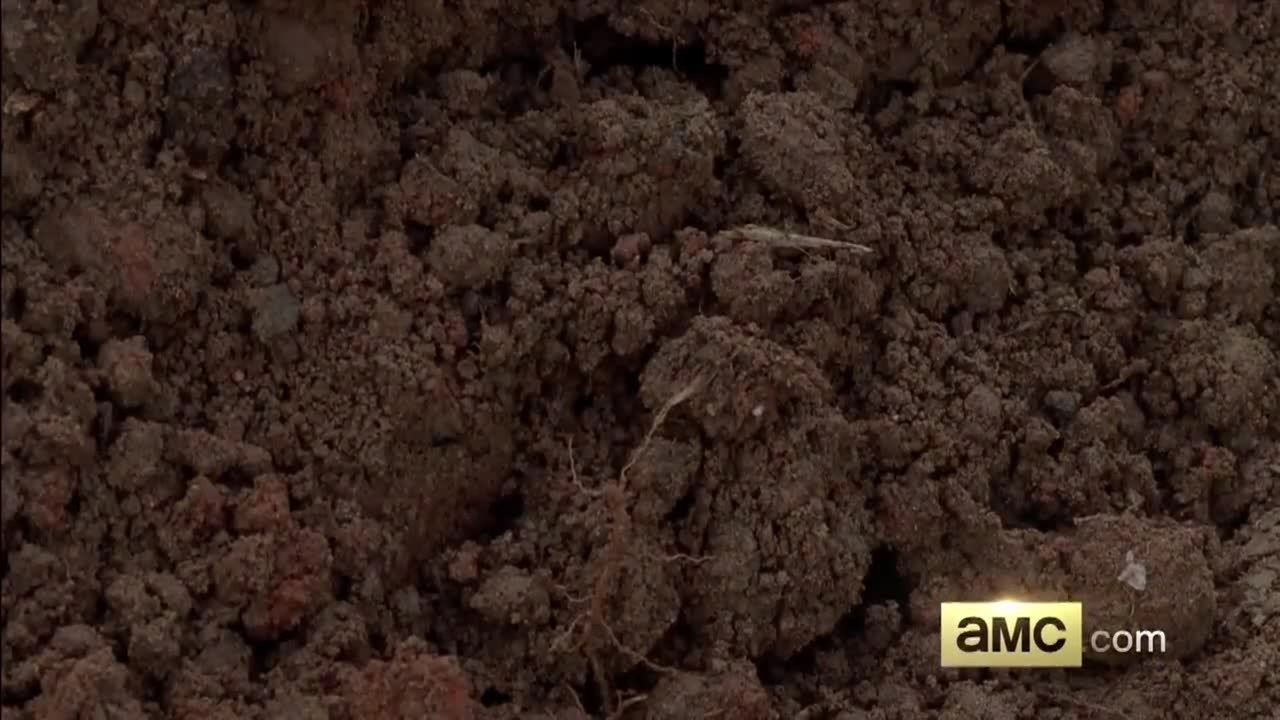 The Walking Dead - Clip (English)