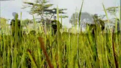 Kassim the Dream - Trailer (English)