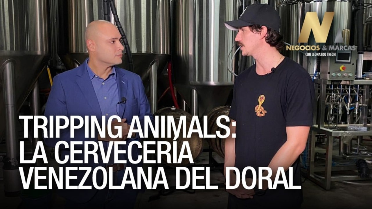 La creatividad en cervezas artesanales de Tripping Animals - Negocios y Marcas