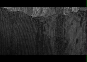 Sweethearts of the Prison Rodeo - Trailer (English)