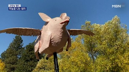 [굿모닝월드] 하늘을 나는 돼지