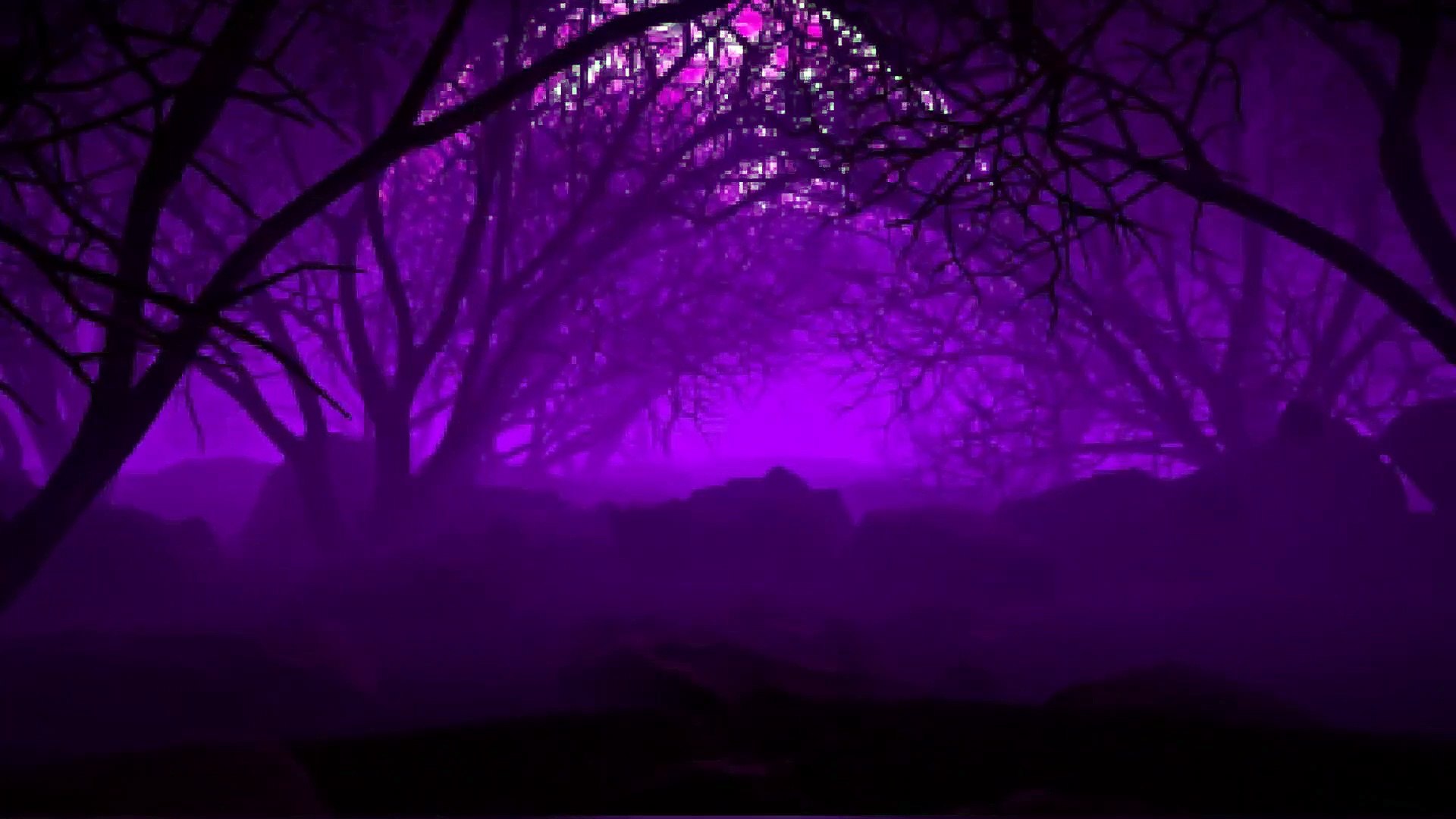 Shane Allen Dunn-Lost Within The Darkness  (Horror, Dark Ambient Music Video)