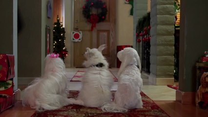 Die drei Hundketiere retten Weihnachten - Trailer (English)