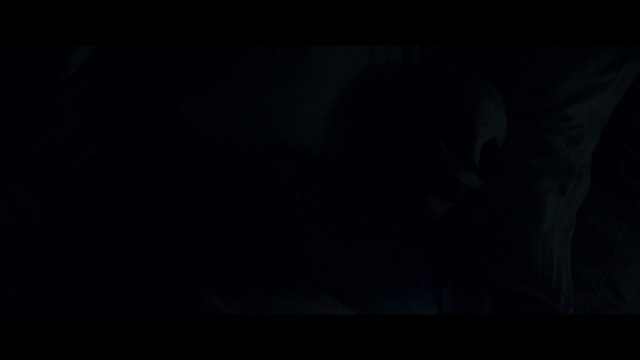 Ich seh, ich seh - Clip Tiere in der Nacht (Deutsch) HD