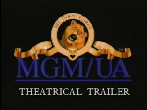 Die Frau, von der man spricht