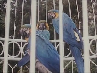 Luzie, der Schrecken der StraÃŸe - Trailer (Deutsch)