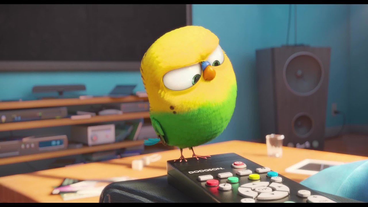 Pets - Trailer (Deutsch) HD