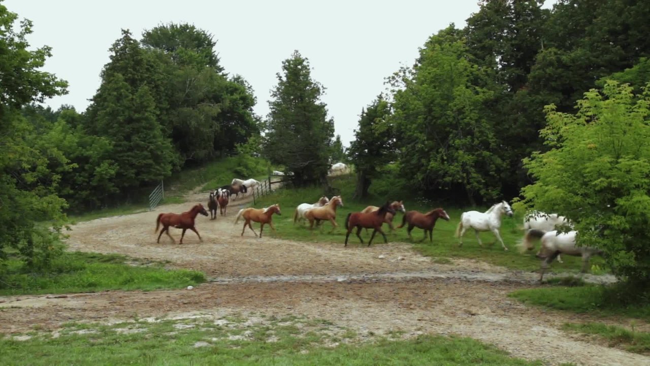 Ferien auf dem Reiterhof - Trailer (Deutsch) HD