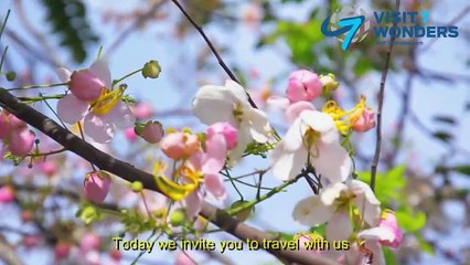 Happy anniversary to our New 7 Wonders of Nature!