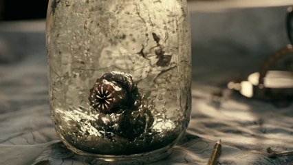A Series of Unfortunate Events - S01 Fan Teaser (English) HD