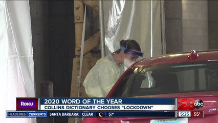 Collins Dictionary says "lockdown" is word of the year for 2020