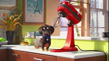 The Secret Life of Pets - Clip Meet Buddy (English) HD