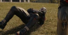 Ant-Man Clip -  Falcon vs Ant-Man Fight (English) HD