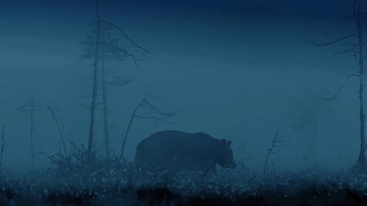 Magie der Moore - Trailer 3 (Deutsch) HD