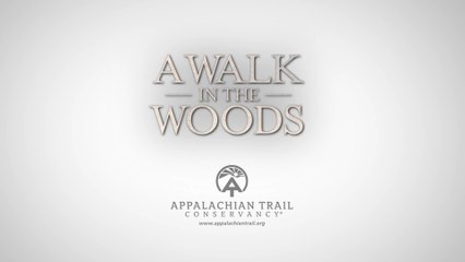 A walk in the Woods - Clip Bear (English) HD