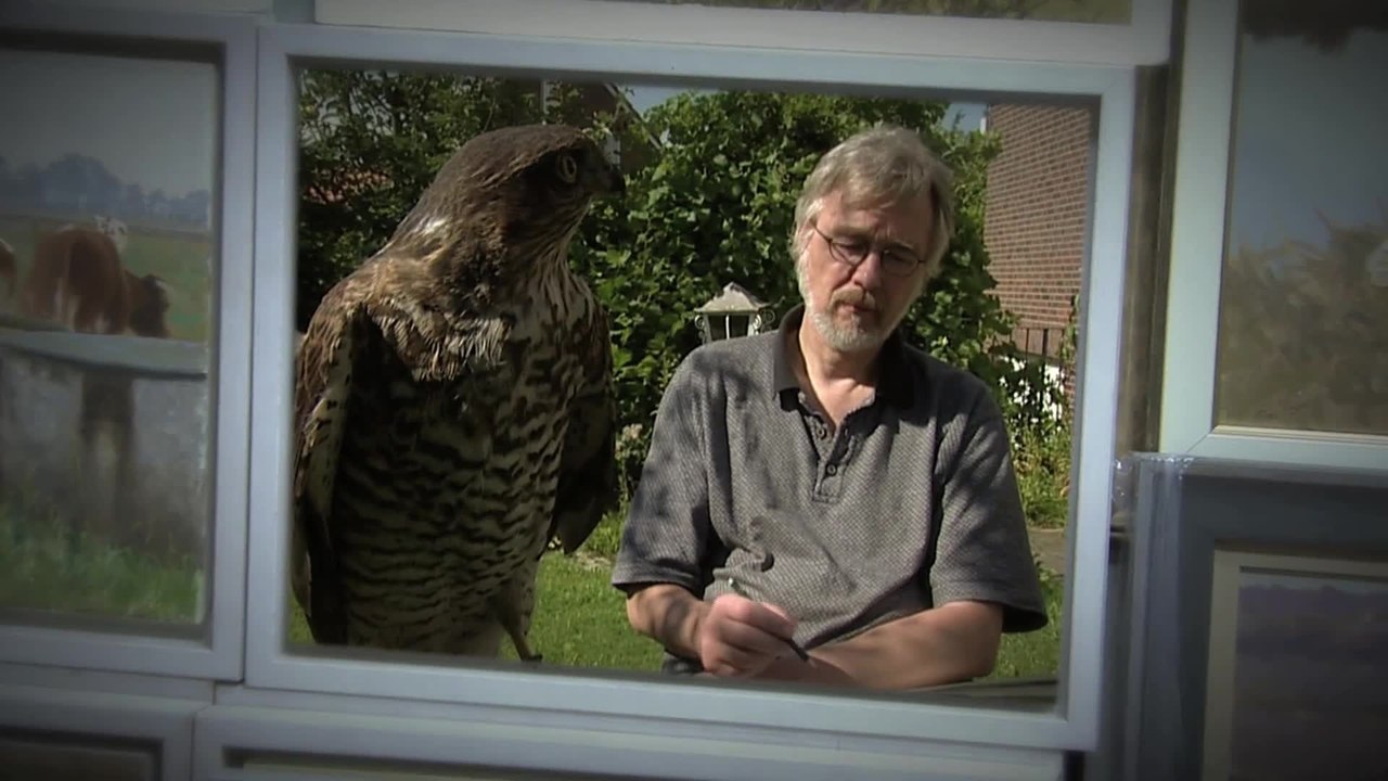 Birds and People - Trailer (Deutsch) HD