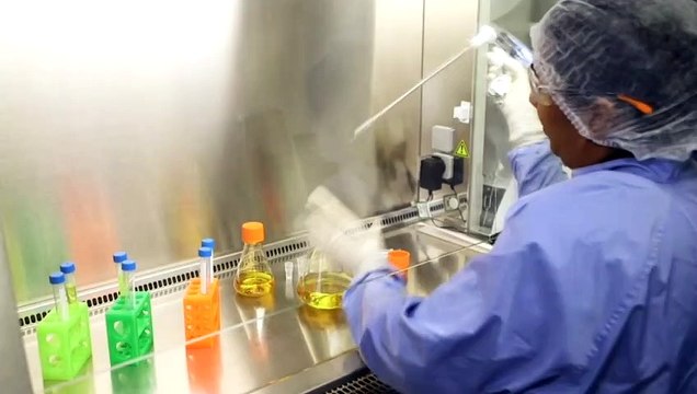 Australians could see coronavirus vaccine approval in months