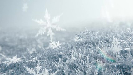 Zwischen Himmel und Eis - Clip Schneeflocke (Deutsch) HD