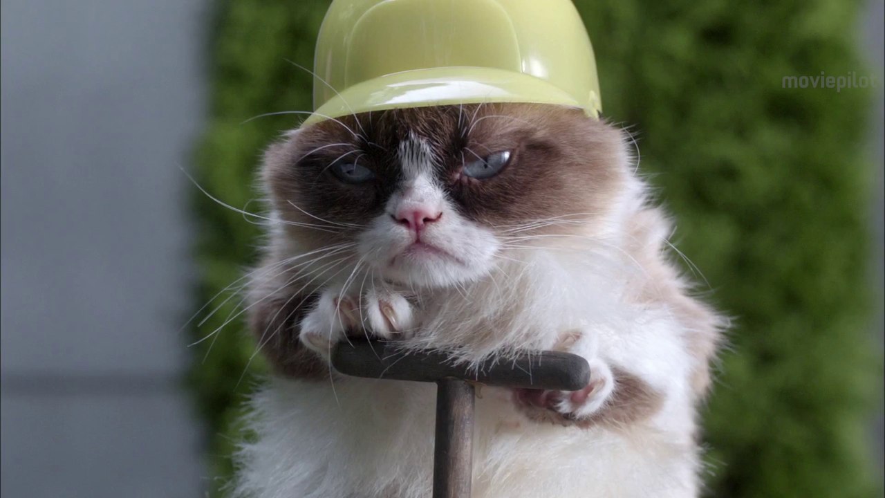 Grumpy Catâ€™s miesestes Weihnachtsfest ever - Trailer (Deutsch) HD