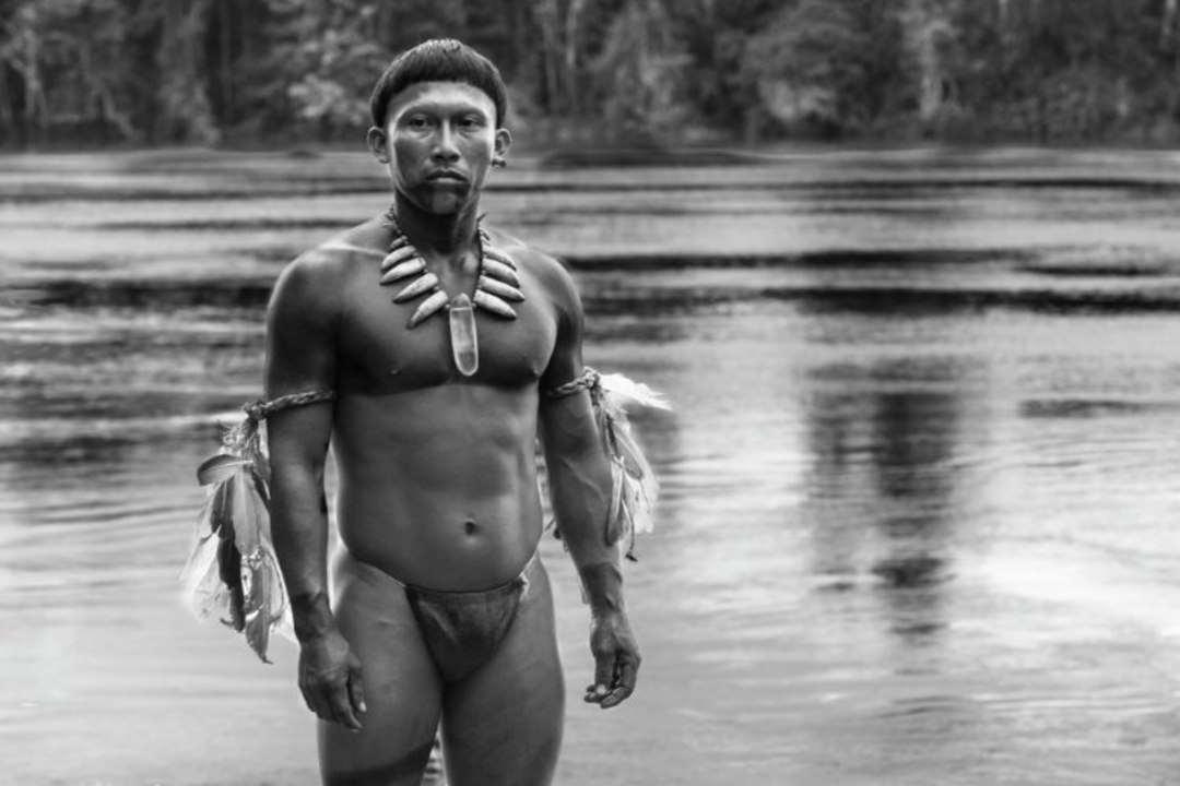 Embrace of the Serpent - Trailer (OmeU) HD