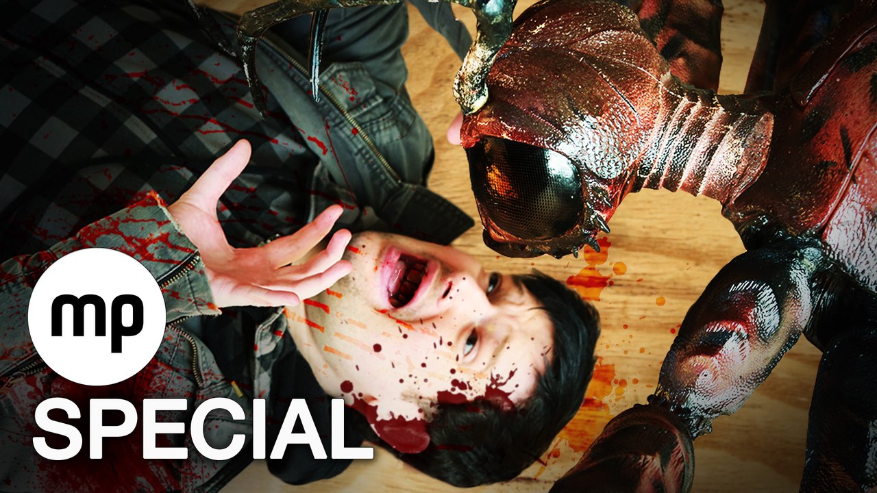 RIESENWESPE tÃ¶tet BATZ - Stung Setvisit