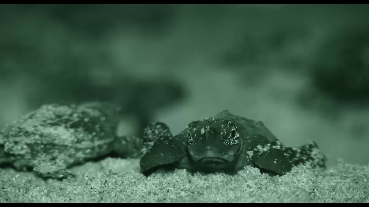 Passion for Planet - Clip 7 (Deutsch) HD