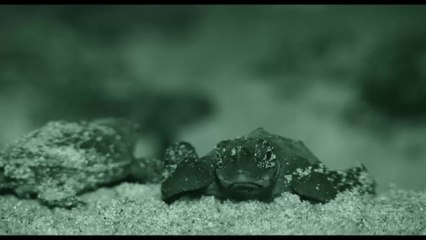 Passion for Planet - Clip 7 (Deutsch) HD