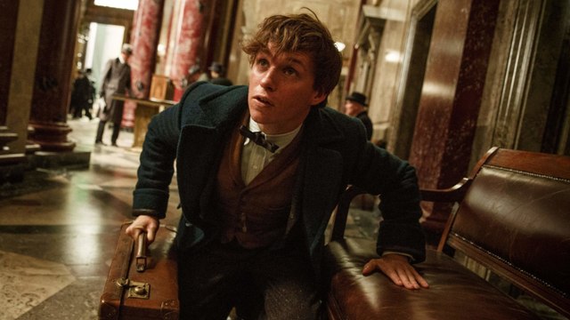 Phantastische Tierwesen und wo sie zu finden sind - Trailer (Deutsch) HD