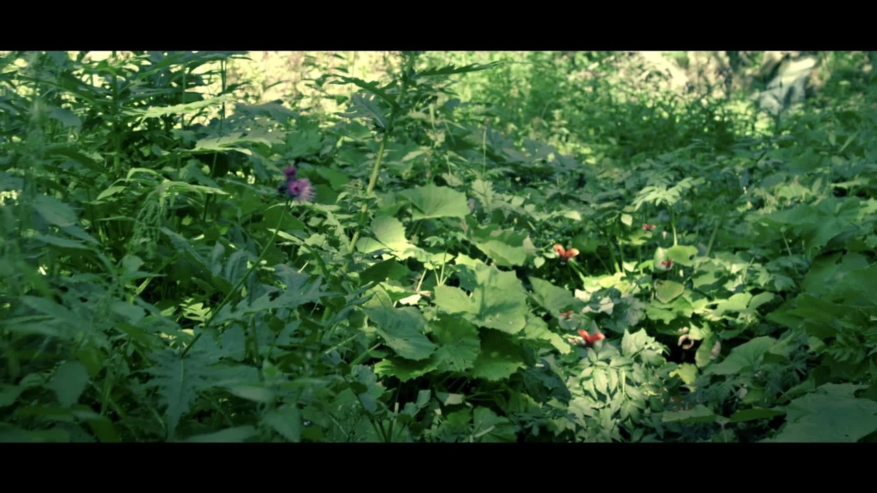 Die Winzlinge - Clip Die Falle (Deutsch) HD