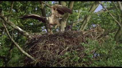 Passion for Planet - Clip 4 (Deutsch) HD