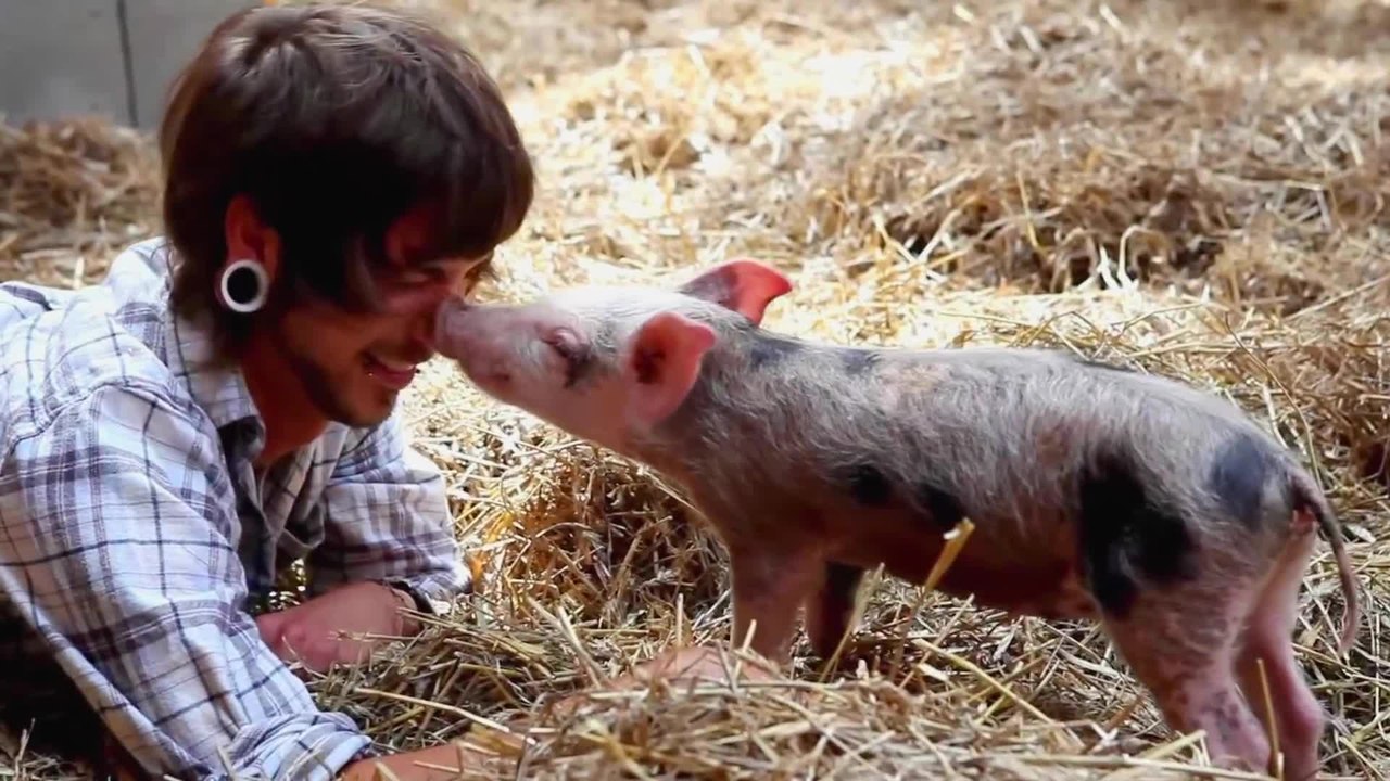 Hope for All - Trailer (Deutsch) HD