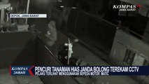 Pencuri Tanaman Hias Jenis Janda Bolong Terekam CCTV