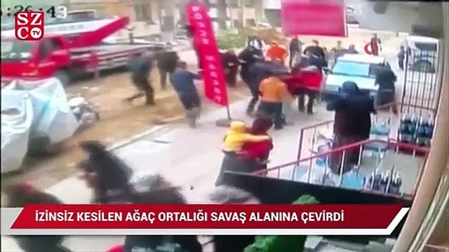 Esenyurt’ta izinsiz kesilen ağaç ortalığı savaş alanına çevirdi