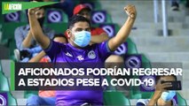 Ssa evalúa si partidos de futbol se realizan con aforo del 30% o sin público por covid-19