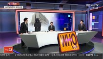 [사건큐브] '16개월 입양아 학대 사망'…엄마 구속 갈림길