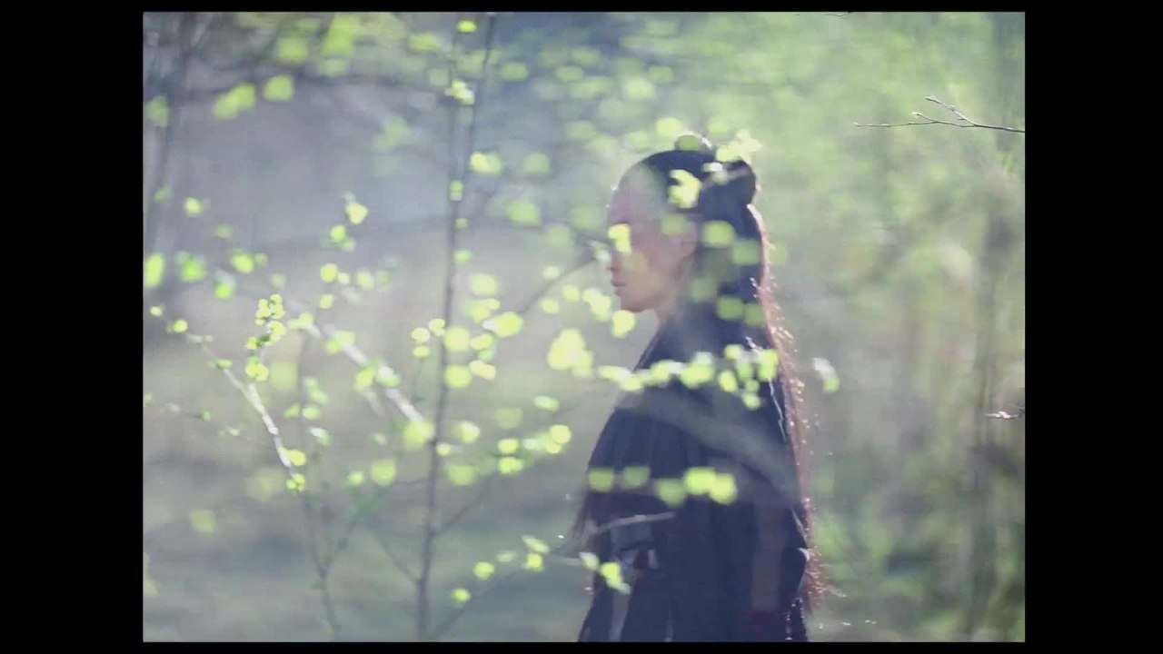 The Assassin - Clip Fight In The Woods HD