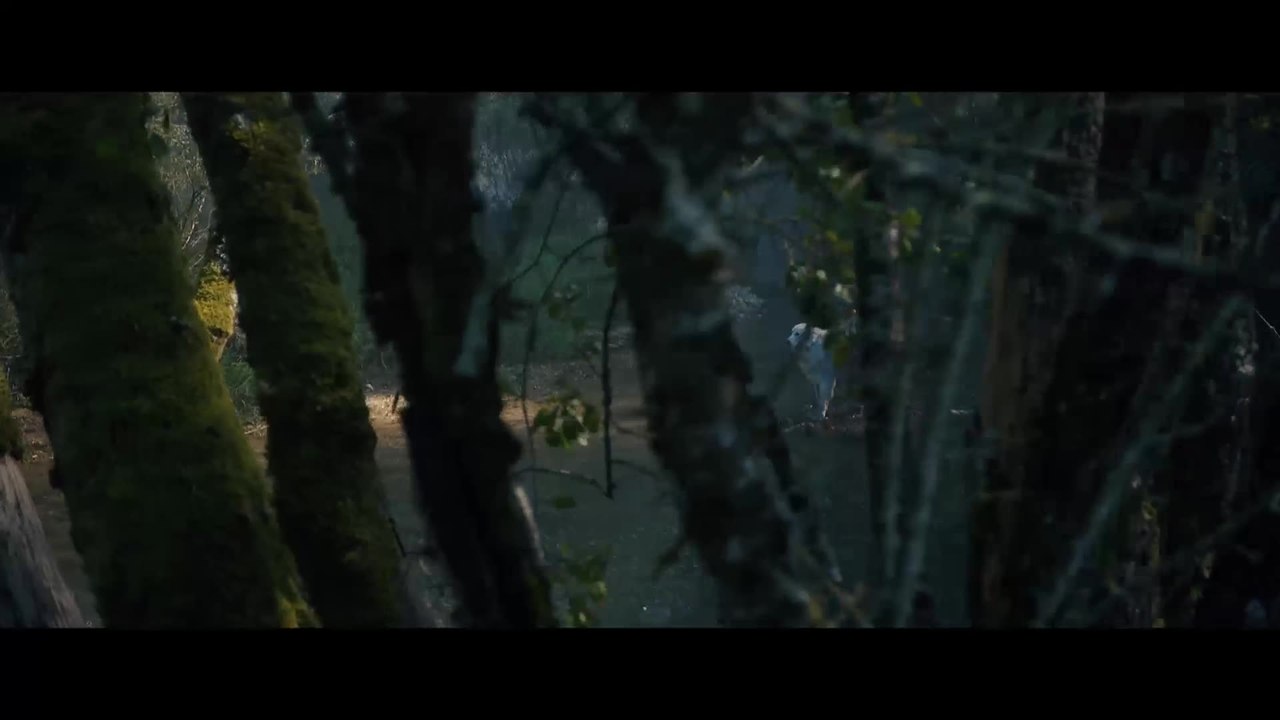 Sebastian und die Feuerretter - Clip Das Feuer ist ganz nah (Deutsch) HD