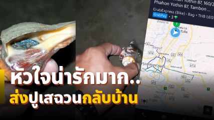 ภารกิจ พาน้องปูเสฉวนกลับบ้าน 123 กิโลเมตร เรียก Grab ส่งกลับบ้าน พีคจนกลายเป็นไวรัล