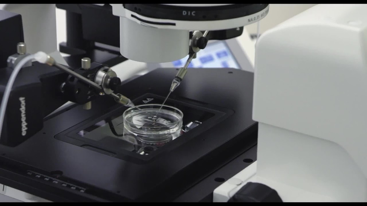 Future Baby - Clip 1 Embryologin  (Deutsche UT) HD