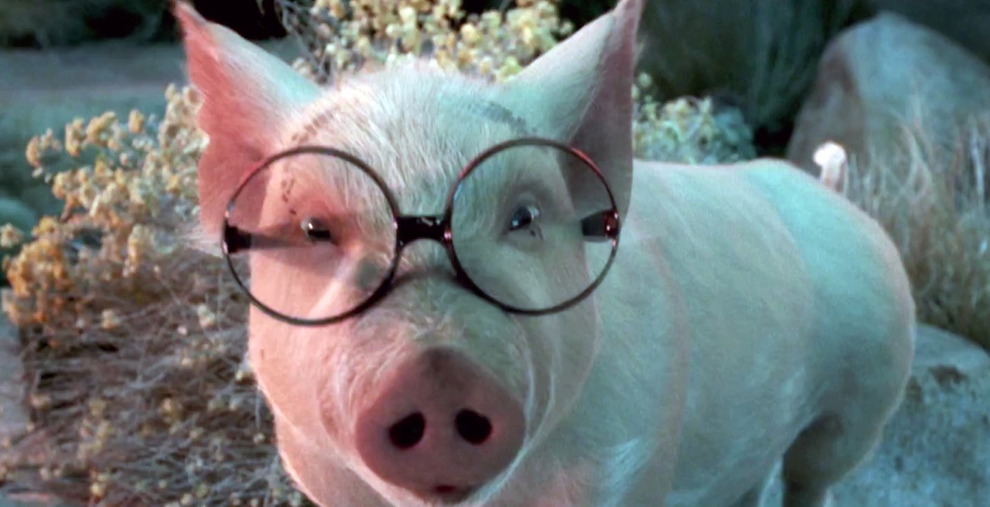 Hollywood Adventures - Trailer (Deutsch) HD