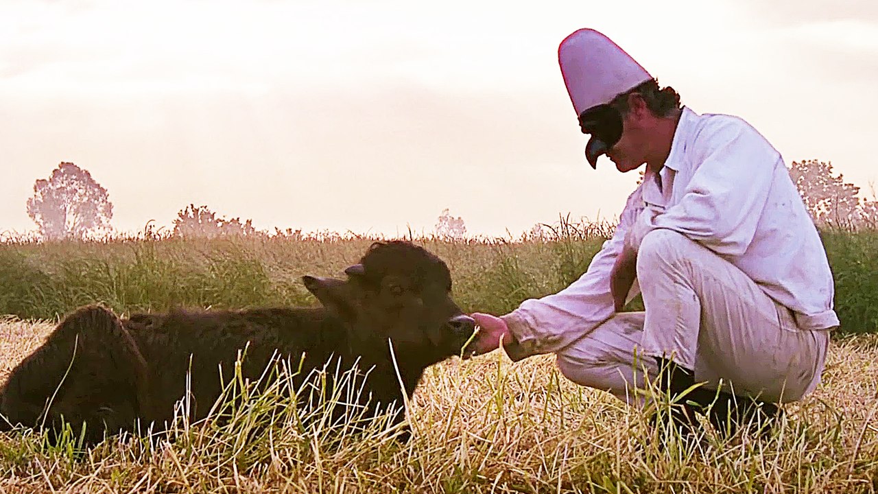 Belle e perduta - Trailer (Deutsche UT) HD