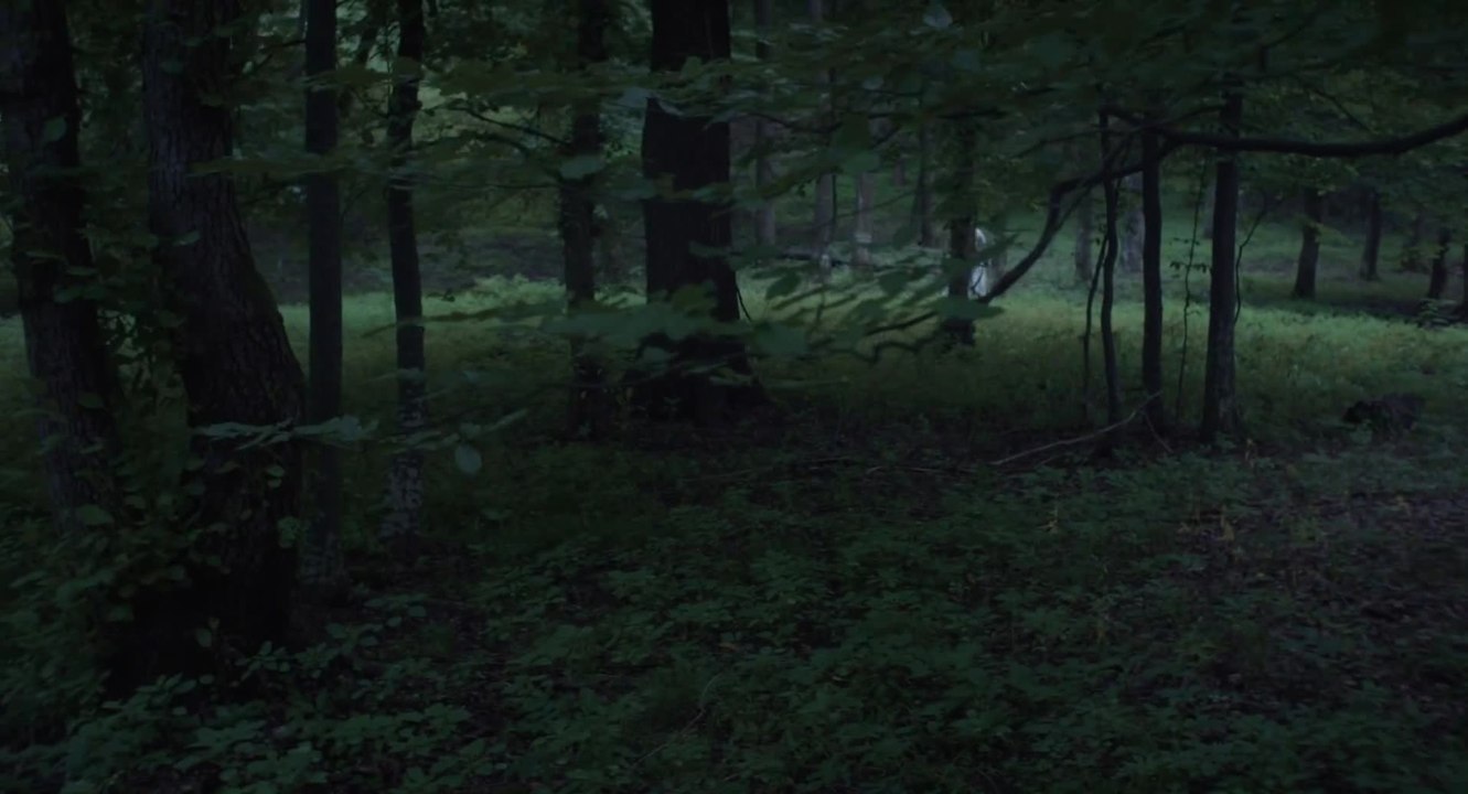 The Keeping Room: Bis zur letzten Kugel - Clip (Deutsch) HD