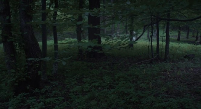 The Keeping Room: Bis zur letzten Kugel - Clip (Deutsch) HD