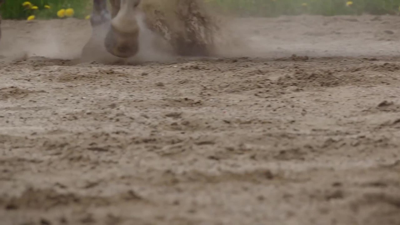 Heartland - S09 E01 Clip First Scene (English) HD