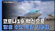 코로나19 백신 기대감 고조...항공사 잰걸음 / YTN