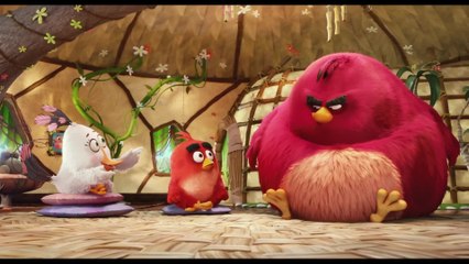 The Angry Birds Movie - Clip Nice chatting with you (English) HD