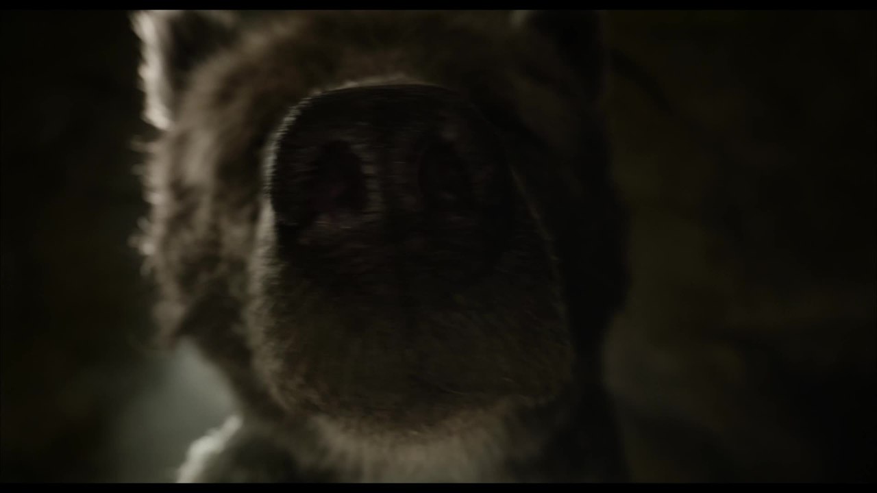 Disney's The Jungle Book - Clip Baloo (Deutsch) HD