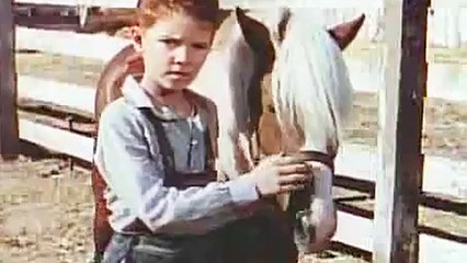 The Red Pony - Trailer (English)
